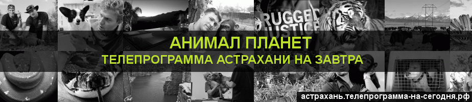 Телепрограмма на завтра канала Анимал Планет, Астрахань