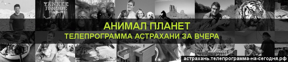 Телепрограмма за вчера канала Анимал Планет, Астрахань