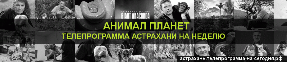 Телепрограмма на неделю канала Анимал Планет, Астрахань